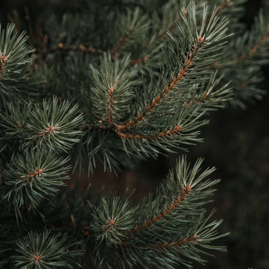 Myrcene